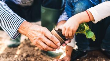 Make a contribution to South Shore Health System in honor of a loved one