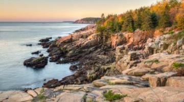 A tranquil coastline scene featuring rocks and trees
