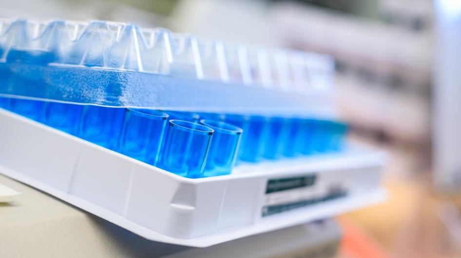 A close-up view of a lab tray featuring empty blue vials with a clear tray cover resting on top, slightly askew.