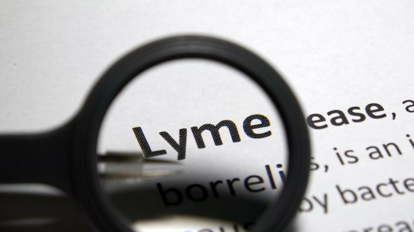 Lyme Disease defined under magnifying glass