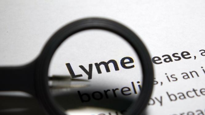 Lyme Disease defined under magnifying glass