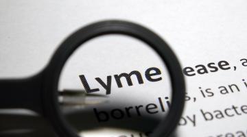 Lyme Disease defined under magnifying glass