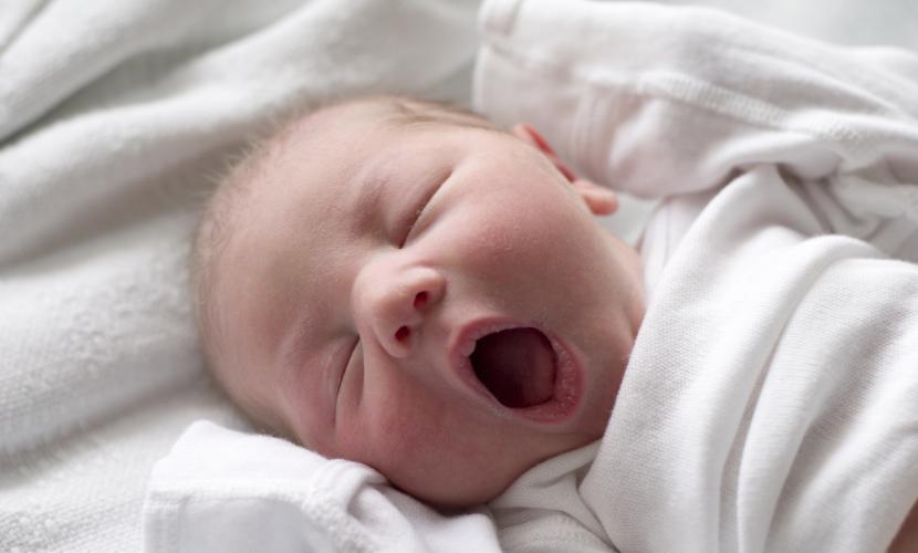 Sleeping Baby