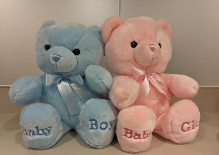 image of stuffed teddy bear options