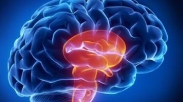 Recognize Signs of Stroke and Take Action