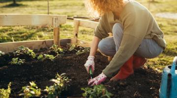 A woman squatting down to plant in her garden