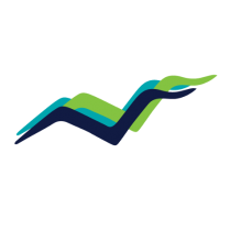 The South Shore Health logo, featuring three gulls